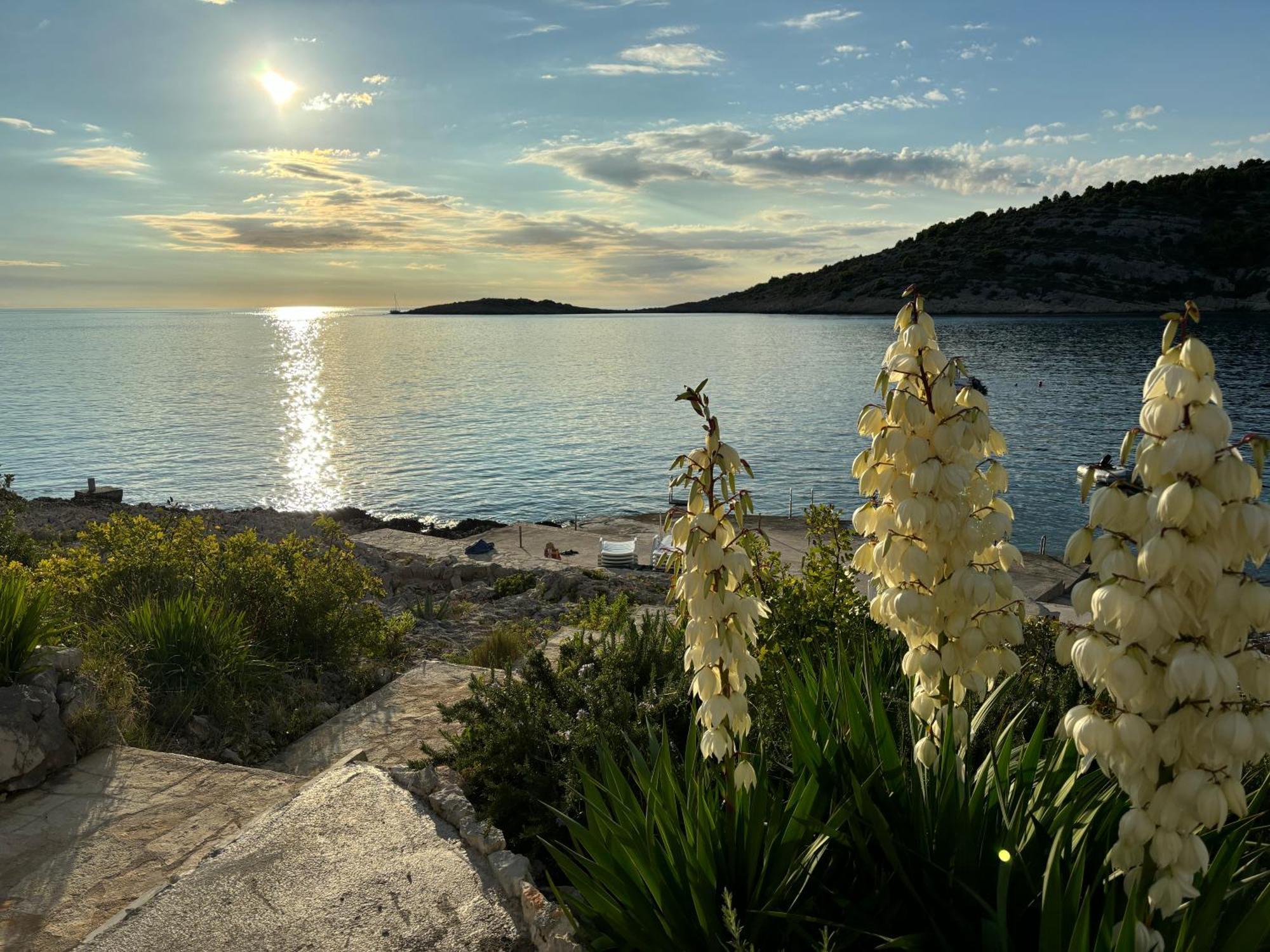 Direkt Am Meer-Apartments Puntaplanka Rogoznica  Exterior foto